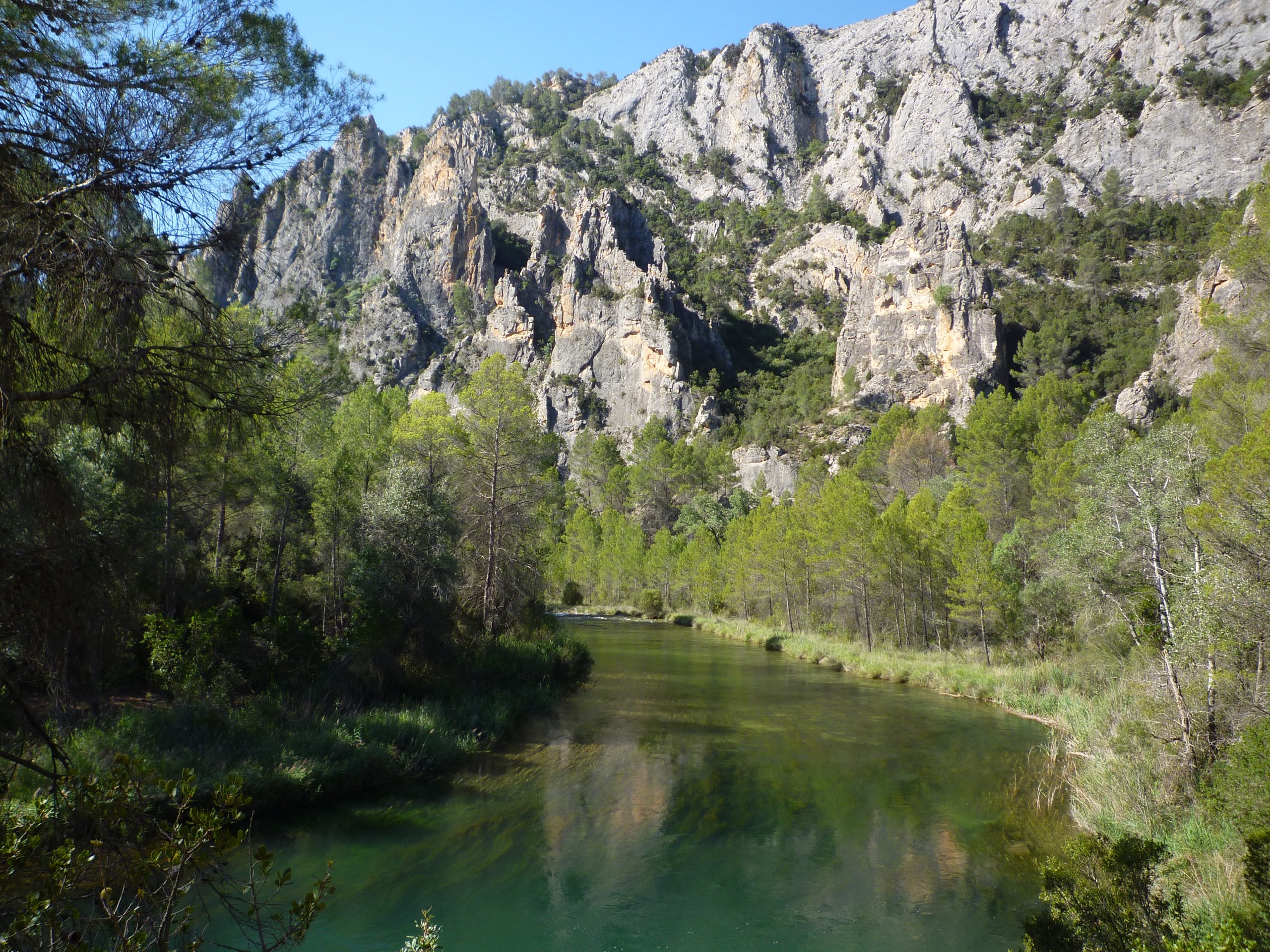 Medio ambiente en Venta del Moro