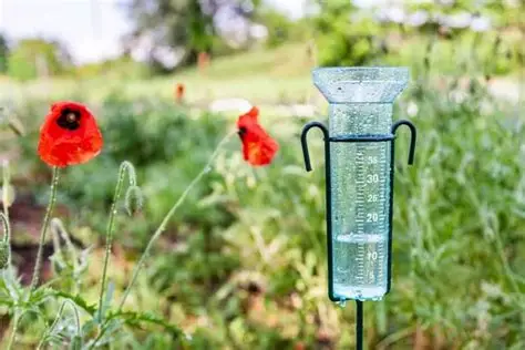 Pluviometría de Venta del Moro